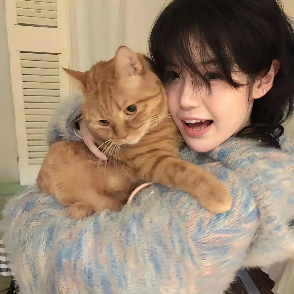 千里莺啼绿映红